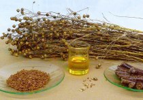 Льняное масло было издавна известно на Руси как ценная продукция, его активно использовали в пищу еще наши предки