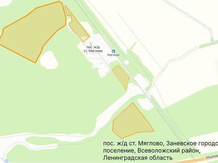 Ещё 10 участков в Заневском поселении удалось вернуть в госсобственность