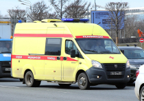 Практически каждую неделю в мае происходит ДТП с участием лосей, а за последние дни уже зафиксированы три подобных происшествия