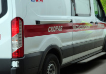 20-летняя девушка едва не утонула в Москве, когда ее столкнуло в воду упавшее дерево
