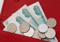 В условиях нестабильной экономической ситуации, желания улучшить качество жизни и повысить доход все больше жителей Пензенской области задумываются о поиске дополнительной занятости.